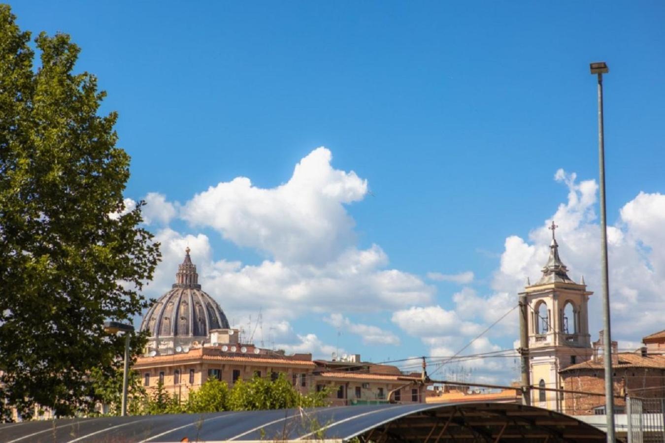 Vatican Terrione 105 *